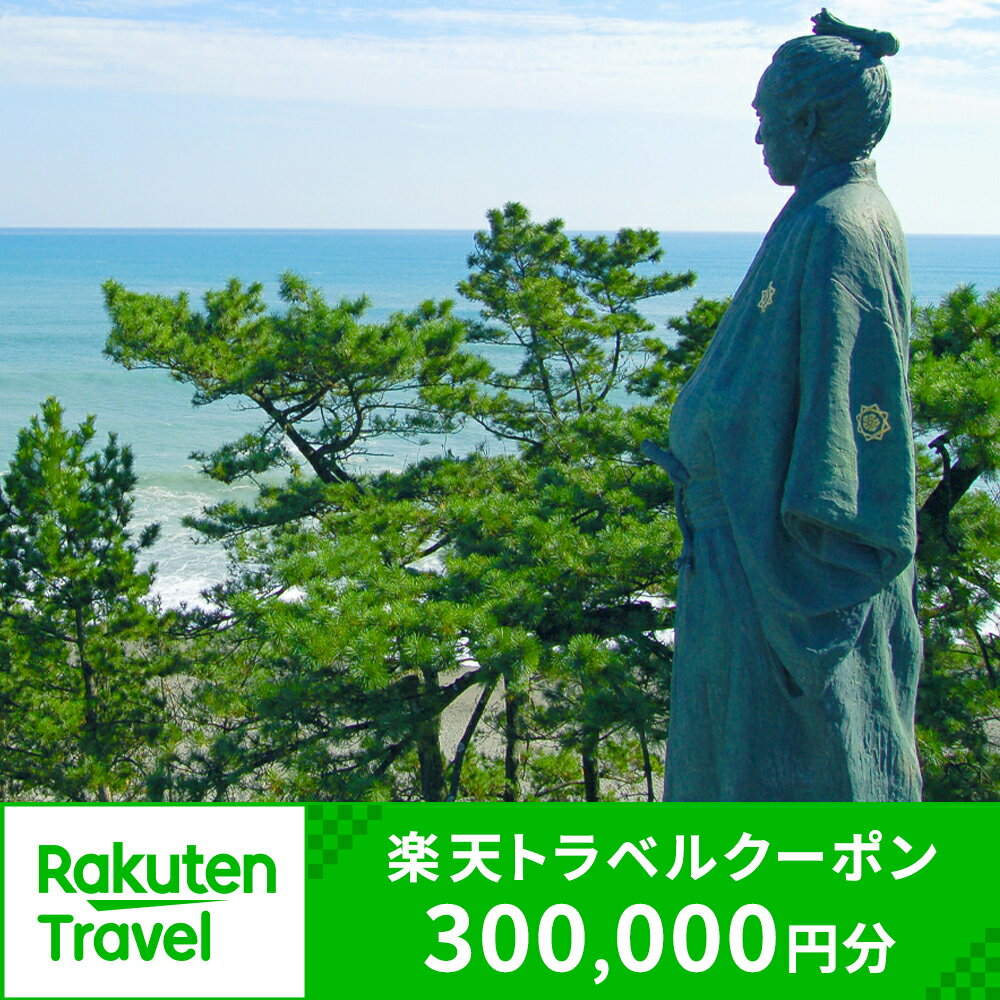 【ふるさと納税】高知県高知市の対象施設で使える楽天トラベルクーポン 寄付額1,000,000円