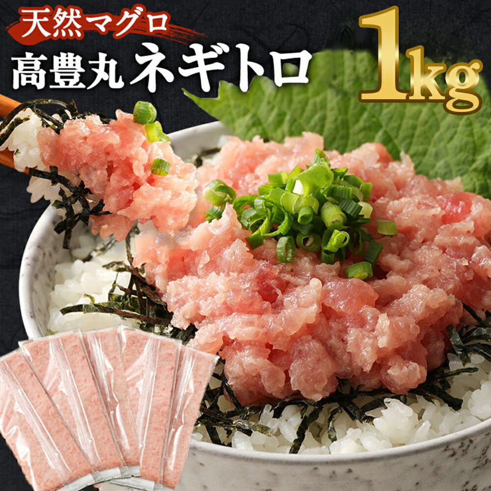 【ふるさと納税】【緊急支援品】 訳あり ネギトロ 魚 惣菜 1kg (200g×5パック) 高豊丸 高品質 まぐろたたき まぐろのたたき 小分け 魚 魚介 鮪 マグロ 寿司 すし 海鮮 おかず 海鮮丼 手巻き寿司 冷凍 12000円 故郷納税 送料無料