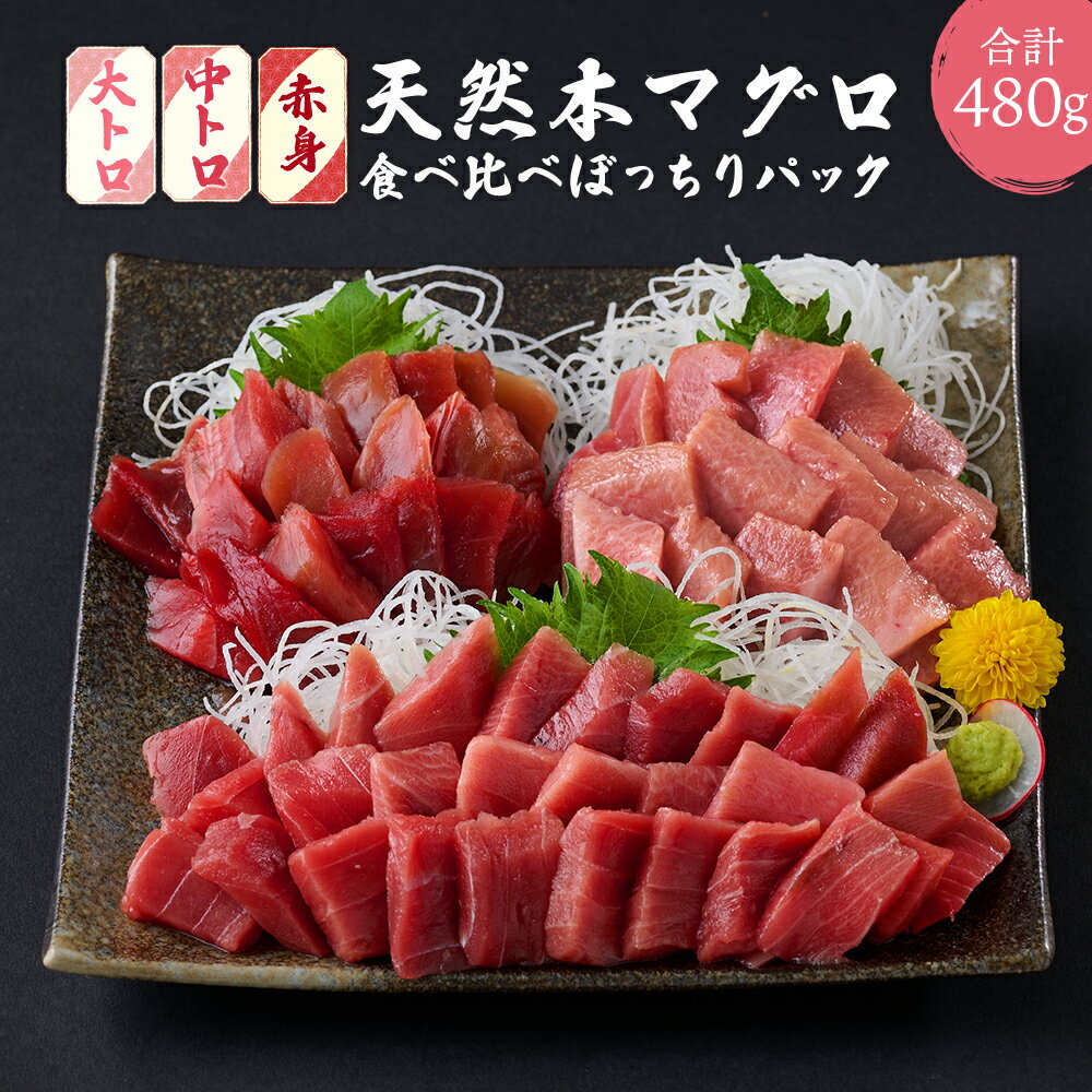 【ふるさと納税】天然本まぐろ 赤身・中トロ・大トロ セット お手軽 食べ比べ 合計8パック 60g×8パック 合計480g 切り落とし 刺身 マグロ 鮪 魚 海産物 高知県 海鮮 魚介類 小分け 簡単調理 惣菜 訳あり 規格外 不揃い コロナ 緊急 冷凍 送料無料 寄付額見直し tk037のサムネイル