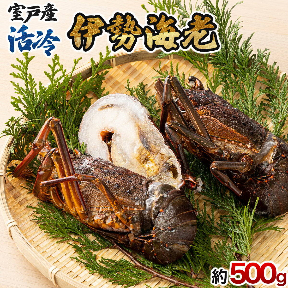 【ふるさと納税】室戸産 活冷 伊勢海老 2～3尾 合計約500g 冷凍 海鮮 魚介類 旬 期間限定 お刺身 惣菜 国産 訳あり コロナ 緊急 送料無料 tk009