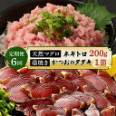 【ふるさと納税】 【定期便 / 6ヶ月連続】 土佐流藁焼きかつおのたたき1節と高豊丸ネギトロ200gセット 魚介類 海産物 カツオ 鰹 わら焼き まぐろ マグロ...