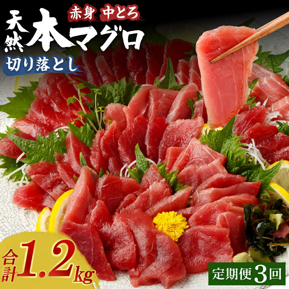 [定期便 / 3ヶ月連続] 天然本マグロ (赤身・中とろ) 切り落とし 計1.2kg (100g×4パック×3回) マグロ 刺身 刺し身 魚 惣菜 海鮮丼 魚介類 食べきりサイズ 小分け 冷凍 訳あり 不揃い 規格外 定期 連続 30,000円 寄付額見直し