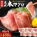 【ふるさと納税】 天然本まぐろ 【お刺身ちょこっとパック】 中トロ 切落し 480g 60g×8パック お手軽 食べきりサイズ 切り落とし お刺身 魚介類 海鮮...