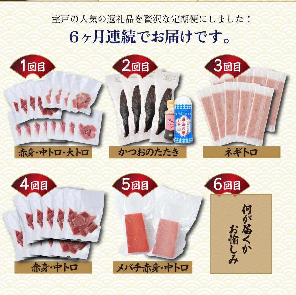【ふるさと納税】 タカシン水産厳選 高知の海鮮セット 6ヶ月連続 マグロ 刺身 刺し身 魚 惣菜 鰹のたたき 海鮮丼 魚介類 食べきりサイズ 小分け 冷凍 訳あり 不揃い 規格外 定期 連続 150,000円 寄付額見直し tk109