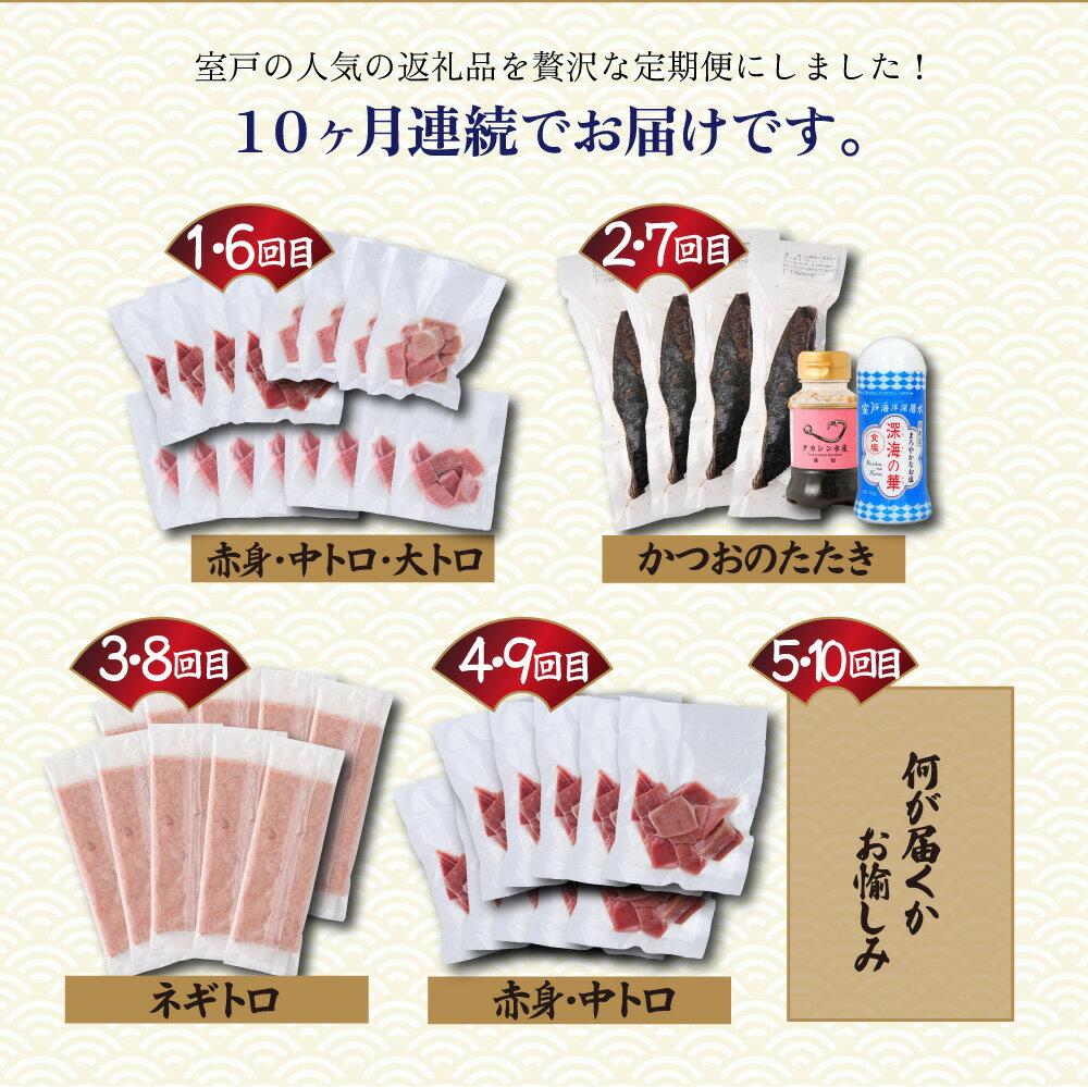 【ふるさと納税】 10回定期便 タカシン水産厳選 高知の海鮮セット マグロ 刺身 刺し身 魚 惣菜 鰹のたたき 海鮮丼 魚介類 食べきりサイズ 小分け 冷凍 訳あり 不揃い 規格外 定期 連続 250,000円 寄付額見直し tk108