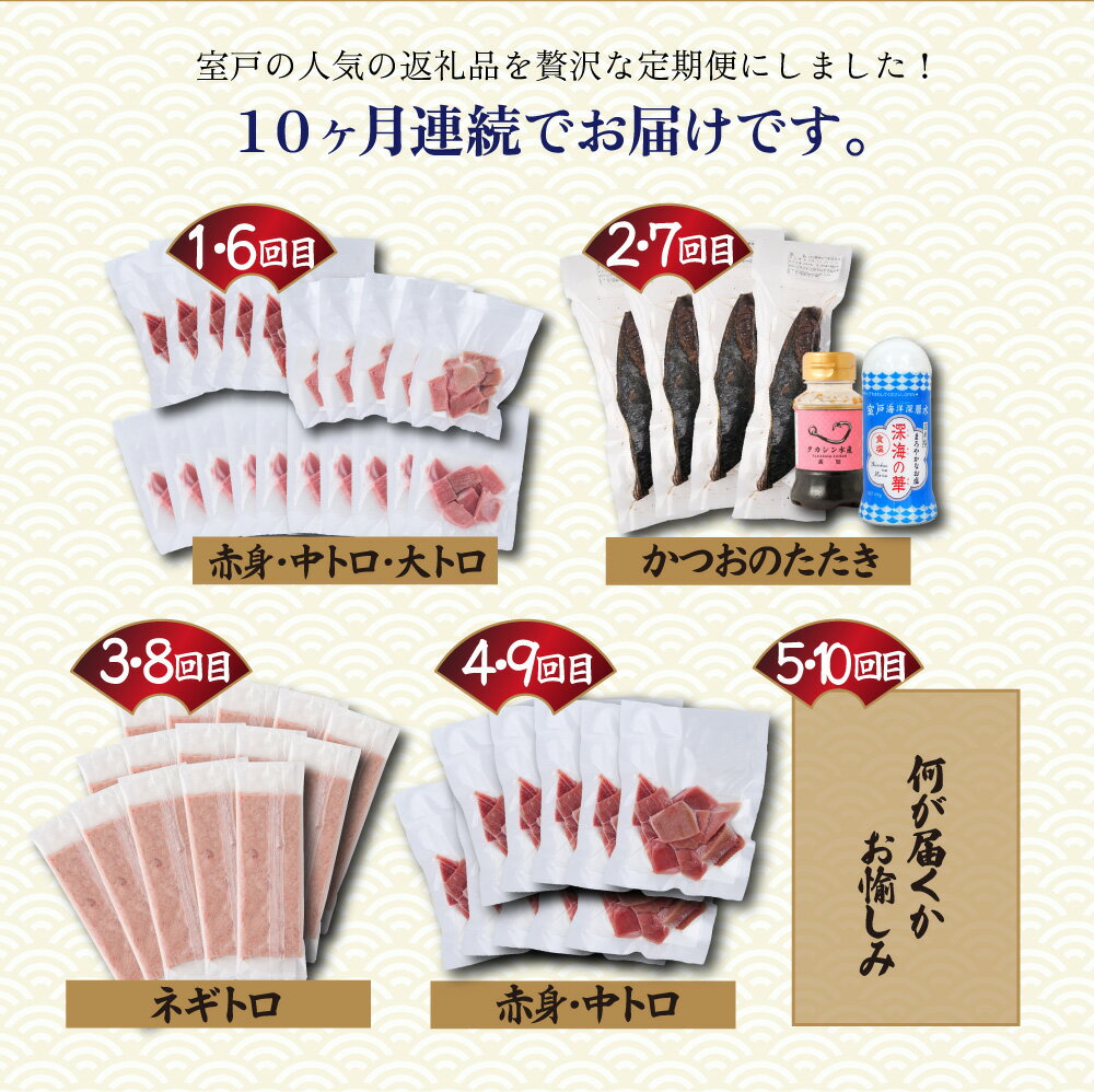 【ふるさと納税】 10回定期便 タカシン水産厳選 高知の海鮮セット マグロ 刺身 刺し身 魚 惣菜 鰹のたたき 海鮮丼 魚介類 食べきりサイズ 小分け 冷凍 訳あり 不揃い 規格外 定期 連続 300,000円 tk107