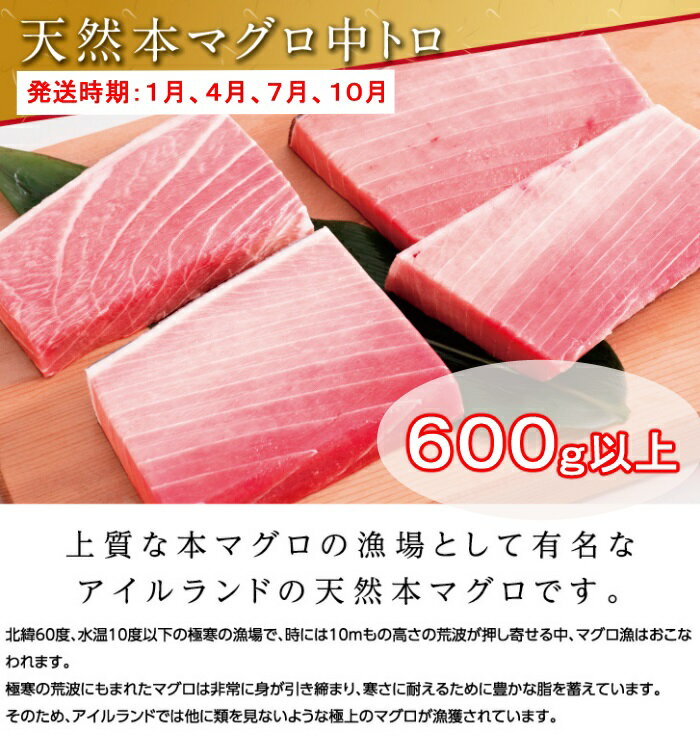 【ふるさと納税】定期便 お楽しみ マグロとカツオの詰め合わせセット【3回お届け】 訳あり コロナ 切り落とし＜TK005＞