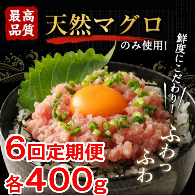 【ふるさと納税】高豊丸ネギトロ400g【6回定期便】＜訳あり まぐろたたき 小分け マグロ コロナ 緊急支援 ビンチョウ キハダ 送料無料 TK032＞
