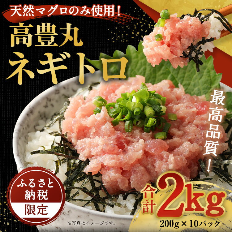 【ふるさと納税】【訳あり】【コロナ緊急支援品】高豊丸 ネギトロ 2kg (200g×10パック) ふるさと納税限定 高品質 ねぎとろ マグロ 鮪 まぐろ たたき 訳あり おかず 魚介 魚 寿司 すし 海鮮 小分け 海鮮丼 手巻き寿司 冷凍 故郷納税 送料無料 TK024のサムネイル