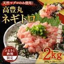 27位! 口コミ数「17件」評価「4.88」【訳あり】【緊急支援品】高豊丸 ネギトロ 2kg (200g×10パック) ふるさと納税限定 高品質 ねぎとろ マグロ 鮪 まぐろ たたき ･･･ 