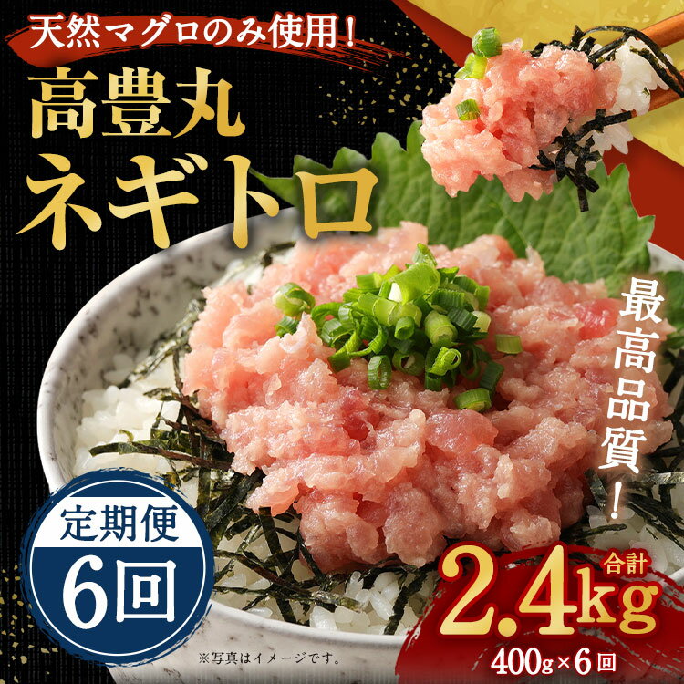 【ふるさと納税】【6回定期便】【訳あり】高豊丸 ネギトロ 合計2.4kg (400g×6回) 【コロナ緊急支援品】 ふるさと納税限定 高品質 まぐろたたき 訳あり 魚 惣菜 小分け 海鮮丼 手巻き寿司 冷凍 送料無料 故郷納税 TK032のサムネイル