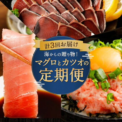 【3回定期便】海からの贈り物！マグロとカツオの定期便 まぐろ カツオのたたき ネギトロ 中トロ 刺身 海鮮 鰹 冷凍 コロナ 魚 海産物 魚介類 高知県 まぐろたたき 鮪 緊急支援品 藁焼き わら焼き 訳あり 不揃い 傷 規格外 故郷納税 送料無料