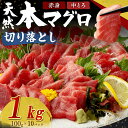 【ふるさと納税】 高豊丸 天然本マグロ (赤身・中とろ) 切り落とし 1kg (100g×10パック) マグロ 刺身 刺し身 魚 惣菜 海鮮丼 魚介類 食べきり...