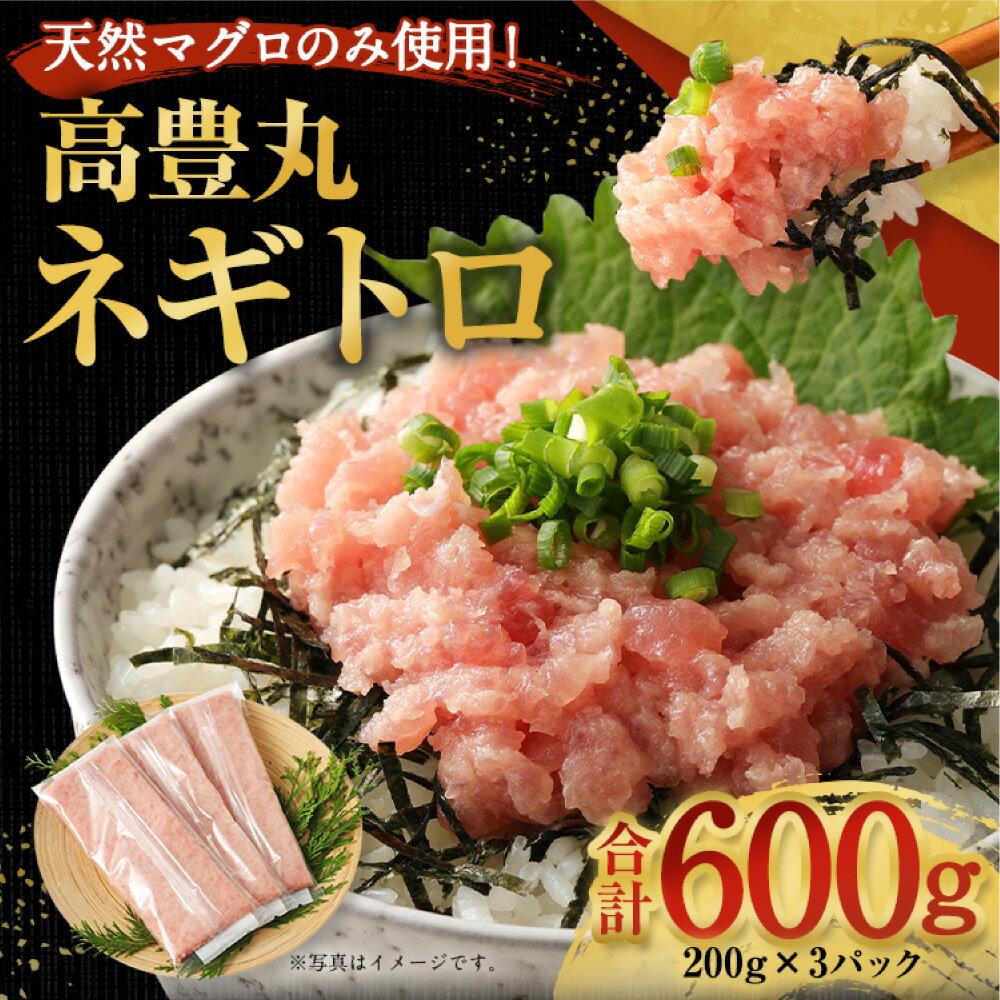 【ふるさと納税】 ネギトロ 600g (200g×3パック) 冷凍 小分け | ねぎとろ 国産 まぐろ 鮪 まぐろたたき ギフト 個包装 魚 魚介 海鮮 新鮮 ...