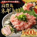 高知県室戸市の画像2