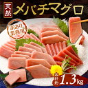 【ふるさと納税】【訳あり】天然めばちまぐろ 業務用1.3kg ( サク 柵 メバチ 目鉢 マグロ 鮪 まぐろ 100% 冷凍 刺身 海鮮 丼 刺し身 小分け 高知 室戸 ) 20000円 tk031