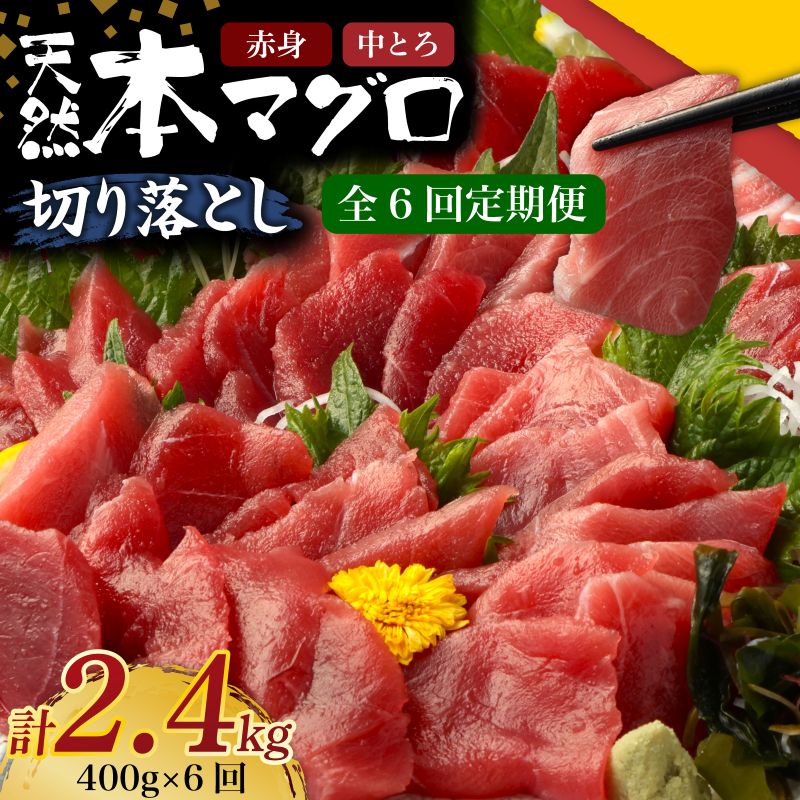 【ふるさと納税】 6回 定期便 天然 本マグロ 中トロ 赤身 切り落とし 400g 小分け ( 100g × 4パック ) 訳あり マグロ 刺身 カルパッチョ ...