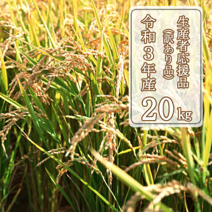 【ふるさと納税】OO025【生産者応援品】清流羽根川流域の新米◇【令和3年産20kg】