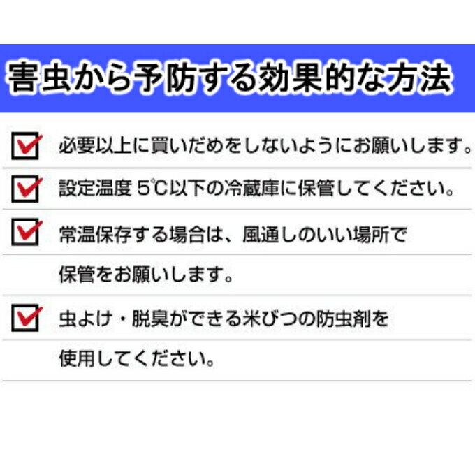 【ふるさと納税】OO024【生産者応援品】清流羽根川流域の新米◇【令和3年産10kg】