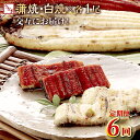 【ふるさと納税】 ヤマジュウ厳選!国産うなぎ蒲焼き・白焼きを交互にお届け!国産うなぎ1尾【全6回定期便】 ウナギ 鰻 かば焼き 白焼き 加工品 魚 魚介類 惣菜...