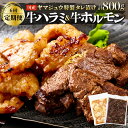 【ふるさと納税】 ヤマジュウの特選タレ漬け!牛ハラミ肉&国産牛ホルモン計800g【6回定期便】 牛 焼肉 ハラミ ホルモン 味付き 国産 定期便 送料無料 yj...