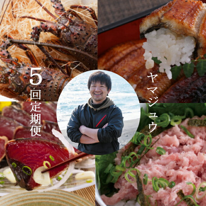 【ふるさと納税】徳さんオススメ海の幸の定期便【計5回】送料無料＜YJ082＞