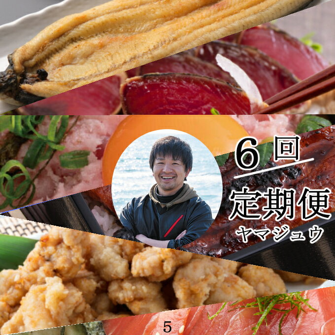 【ふるさと納税】徳さんオススメ定期便【6ヶ月連続お届け】送料無料＜YJ087＞