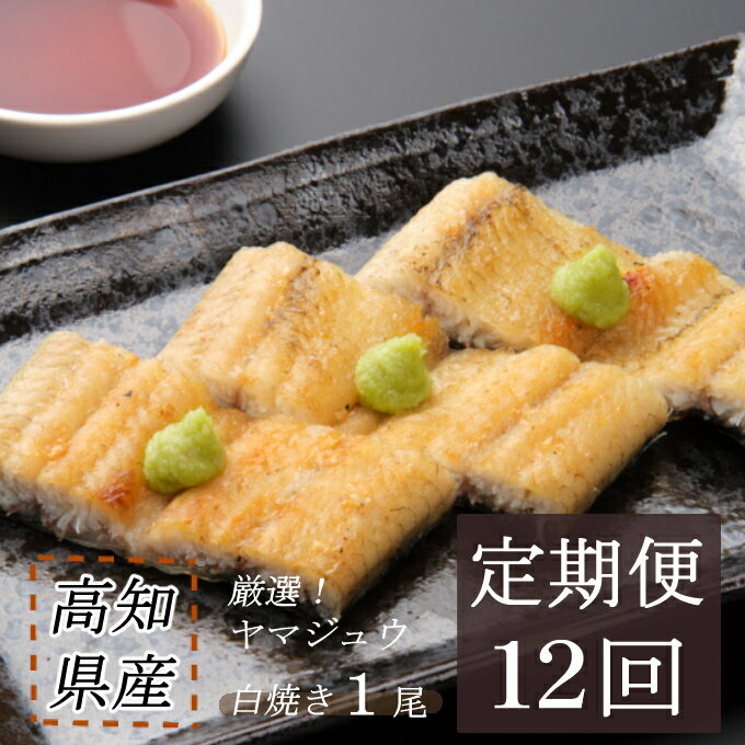 【ふるさと納税】 ヤマジュウ厳選!国産うなぎ白焼き1尾【12回定期便】 ウナギ 鰻 白焼き 加工品 魚 魚介類 惣菜 冷凍 送料無料 yj051