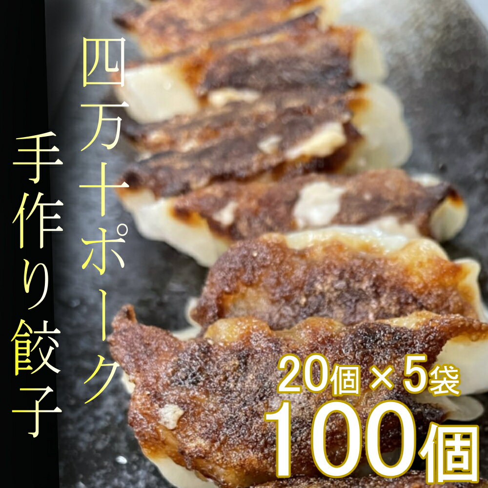 ヤマジュウの特選!四万十ポーク手作り餃子100個 ぎょうざ ギョウザ 惣菜 おかず 冷凍 小分け 豚 高知県 にら ニラ 国産 21,500円 送料無料