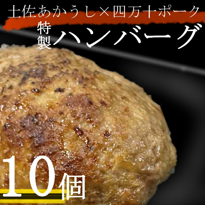 【ふるさと納税】土佐あかうしと四万十ポークのハンバーグ　10個セット 惣菜 おかず 冷凍 小分け 豚 高知県 牛 四万十ポーク 土佐あかうし 赤牛 赤うし 国産 温めるだけ 湯煎 送料無料 yj071