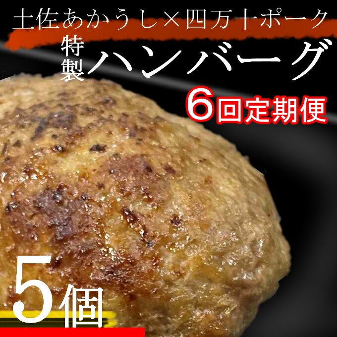 【ふるさと納税】土佐あかうしと四万十ポークのハンバーグ　5個セット【6回定期便】 惣菜 おかず 冷凍 小分け 豚 高知県 牛 四万十ポーク 土佐あかうし 赤牛 赤うし 国産 温めるだけ 湯煎 送料無料 yj083