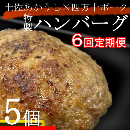 土佐あかうしと四万十ポークのハンバーグ　5個セット【6回定期便】 惣菜 おかず 冷凍 小分け 豚 高知県 牛 四万十ポーク 土佐あかうし 赤牛 赤うし 国産 温めるだけ 湯煎 送料無料 yj083