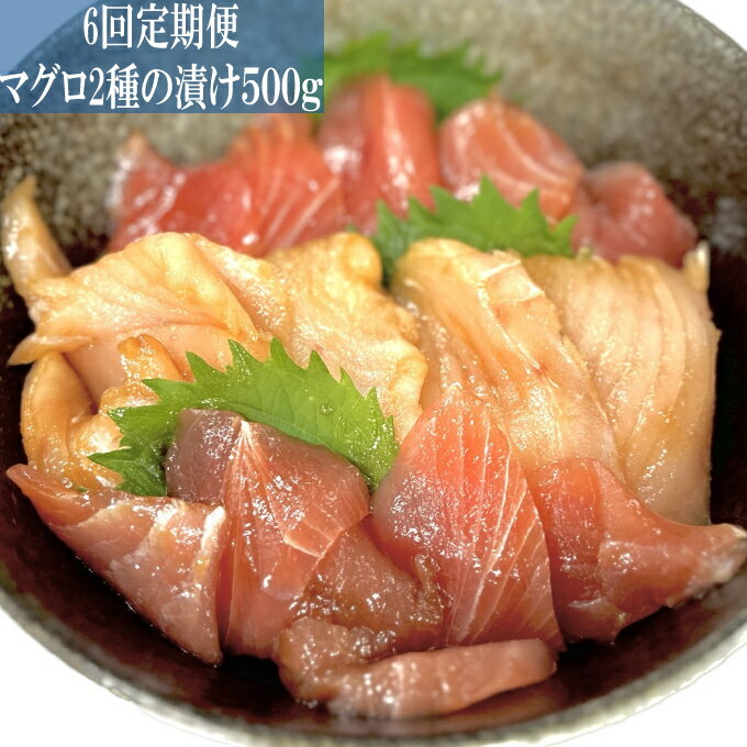 【ふるさと納税】 ヤマジュウ特製!マグロ2種の漬け500g【6回定期便】 マグロ キハダマグロ びんちょうマグロ 刺身 海鮮 海の幸 99,000円 送料無料 ...