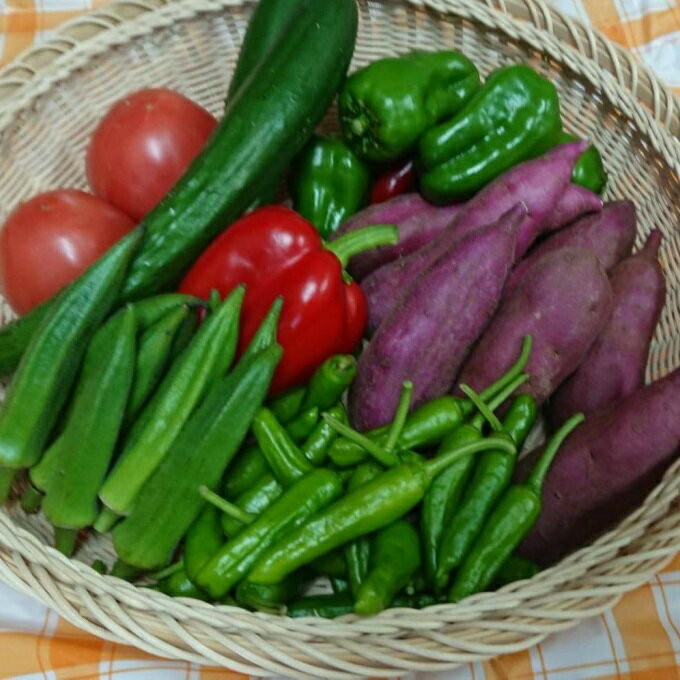 【ふるさと納税】RK−62野菜7種のミニセット（ポン酢のおまけ付） 