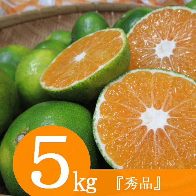 【ふるさと納税】極早生みかん 秀品 5kg フルーツ 果物 柑橘系 みかん 冬の味覚 国産 高知県 室戸市 送料無料 RK061のサムネイル