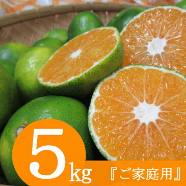 【ふるさと納税】【先行予約】【訳あり】極早生みかん 5kg フルーツ 果物 柑橘系 みかん ミカン 傷あり 不揃い ご家庭用 送料無料 <9月中旬より発送> RK062