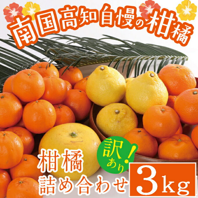 【ふるさと納税】【訳あり】柑橘詰め合わせセット 約3kg フルーツ 果物 柑橘系 みかん ミカン 傷あり 不揃い ご家庭用 土佐文旦 水晶文旦 はるか ポンカン みかん はるみ 温室きんかん しらぬい 高知県 送料無料 RK068