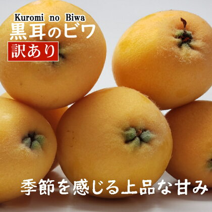 【訳あり】黒耳びわ　大小混合　12～20玉＜黒耳 果物 ビワ 新型コロナ支援 送料無料＞ 春 旬 枇杷　rk036