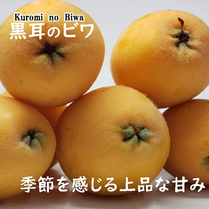 【ふるさと納税】黒耳びわ 16～20玉　小粒・中粒　＜果物 ビワ 新型コロナ支援 送料無料＞ 春 旬　rk037