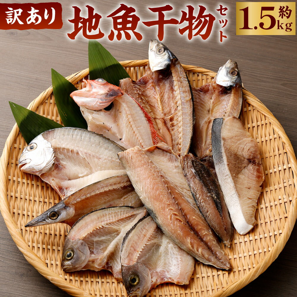 【ふるさと納税】【訳あり】地魚干物セット 約1.5kg お楽しみ 干物 おかず おつまみ 魚 魚介類 惣菜 傷あり ご家庭用 冷凍 10000円 1万円 送料無料