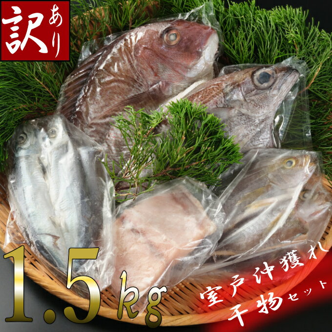 【ふるさと納税】【訳あり】地魚干物セット（約1.5kg）＜NK032＞