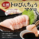 高知県室戸市の画像3