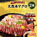 【ふるさと納税】 厳選 天然 本マグロ 中トロ 赤身 食べ比べセット 合計 約600g ( 中トロ 約200g・赤身 約400g) ふるさと納税限定 魚 惣菜 ...