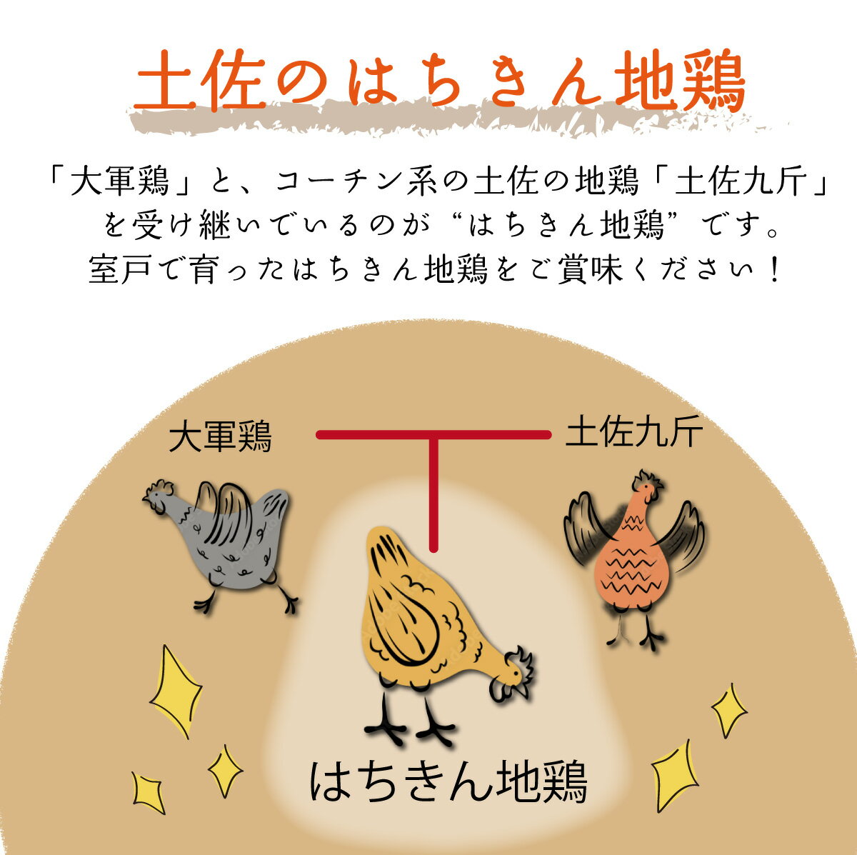 【ふるさと納税】【2〜3人前】はちきん地鶏のモモ肉　500gカット 国産 鶏肉 バーベキュー 鍋 惣菜 唐揚げ 6000円 冷凍 送料無料 ag020