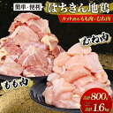 【ふるさと納税】 はちきん地鶏 カット済み もも肉 & むね肉 セット 選べる容量 合計800g/1.6kg 小分け 真空冷凍 唐揚げ 親子丼 BBQ 焼き鳥 ...