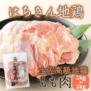 【ふるさと納税】 はちきん地鶏 もも肉 1kg 2kg モモ肉 鶏肉 鳥肉 とり肉 バーベキュー バーベキューセット BBQ BBQセット キャンプ キャンプ飯...