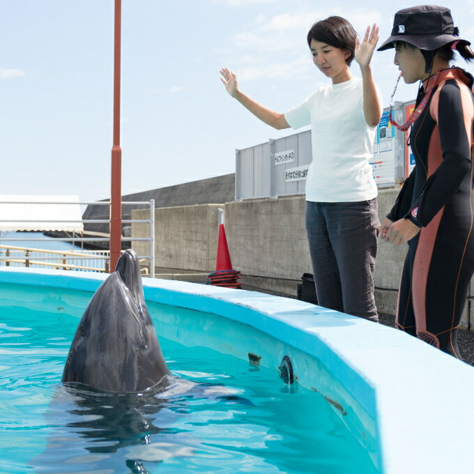 【ふるさと納税】トレーナー体験1名(3歳以上小...の紹介画像3