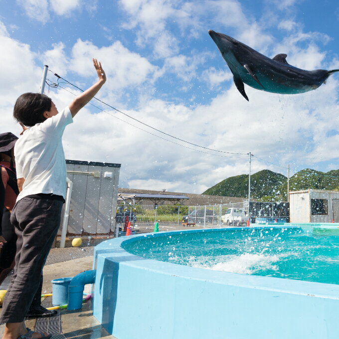 【ふるさと納税】トレーナー体験1名(中学生以上)...の商品画像