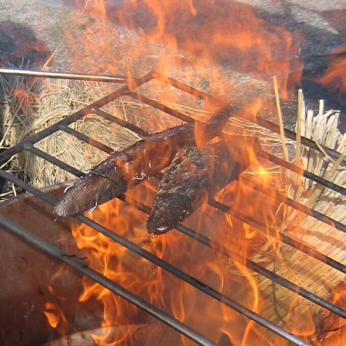 【ふるさと納税】室戸流藁焼きたたきセット　700〜850g 