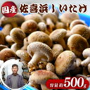 【ふるさと納税】 国産 佐喜浜しいたけ 約500g 椎茸 しいたけ 肉厚 うまみ 菌床 きのこ キノコ 調理 料理 ごはん ご飯 6000円 高知県 nc002